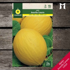 Foto principal MELON AMARILLO CANARIO RAINBOW