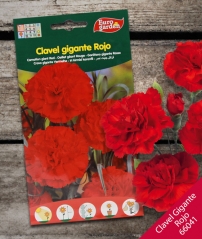 Foto principal CLAVEL GIGANTE ROJO  0550