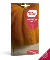 Foto principal CALABAZA MAMMOTH GOLD