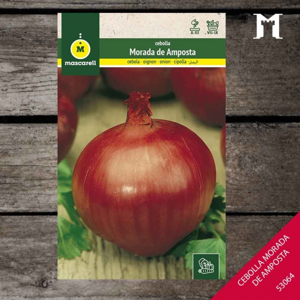 Foto principal CEBOLLA MORADA DE AMPOSTA RAINBOW