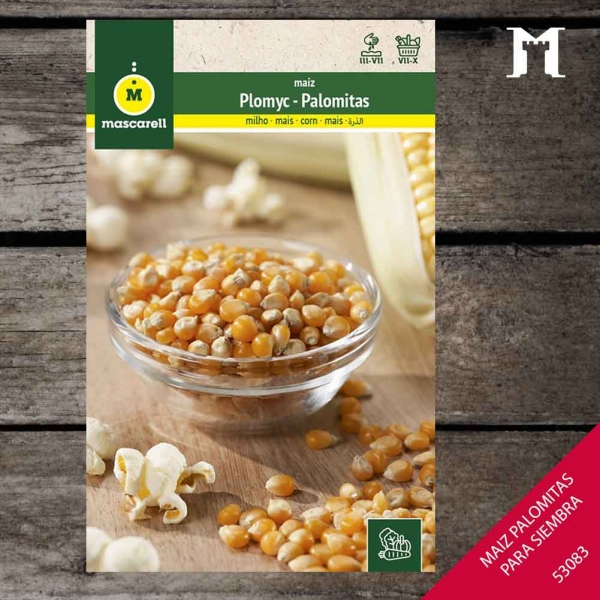 Foto principal MAIZ PALOMITAS RAINBOW