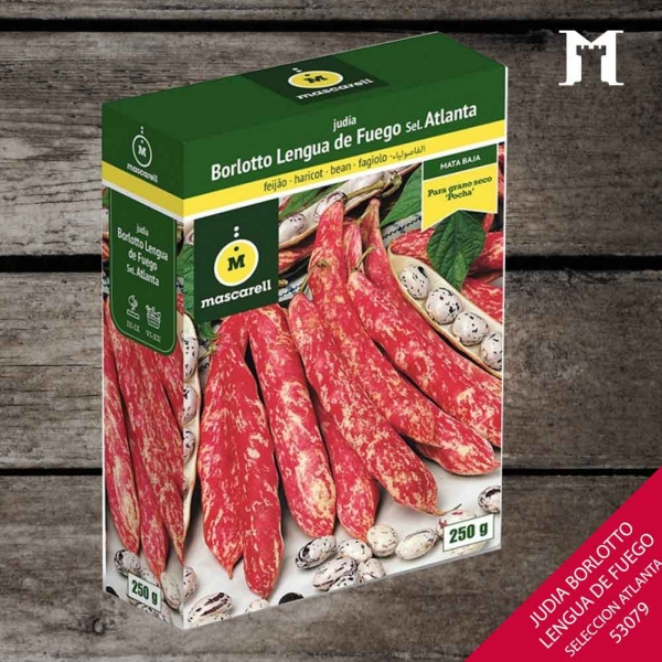Foto principal JUDIA BORLOTTO 250 GRS.