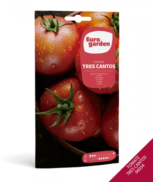 Foto principal TOMATE TRES CANTOS