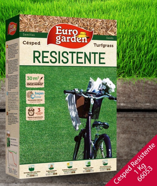 Foto principal CESPED RESISTENTE EUROGARDEN 1KG